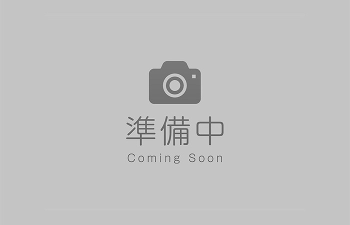 3D光学スキャナー
